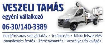 Otthon melléklet - Info-Oké