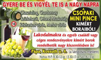 ... amikor két ember sorsa örökre összefonódik.