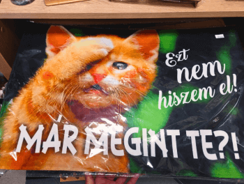Lakás dekoráció