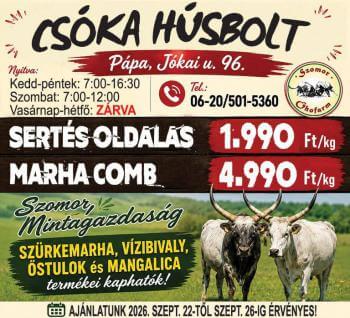 Fedezd fel PÁPA Gasztro Világát