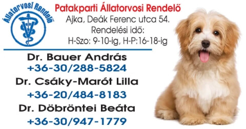 Info-Oké Online