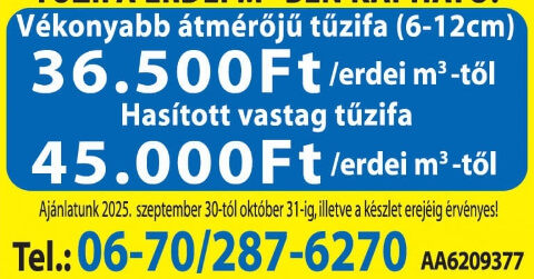 Info-Oké Online