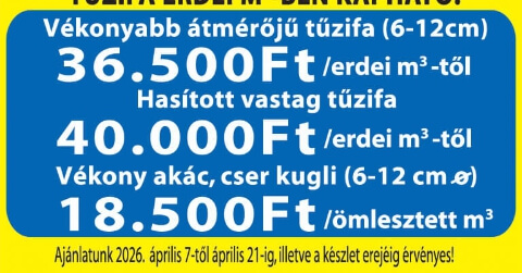 Tűzifa erdei m3-ben eladó! Ács-Fa Kft. Pápa