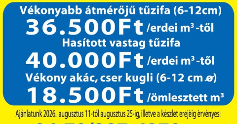 Tűzifa erdei m3-ben eladó! Ács-Fa Kft. Pápa
