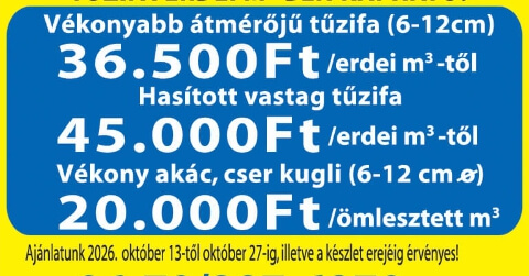 Tűzifa erdei m3-ben eladó! Ács-Fa Kft. Pápa