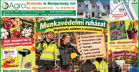 Info-Oké Online