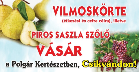 Info-Oké Online