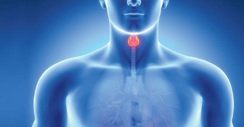 Szabó Richárd dietetikus