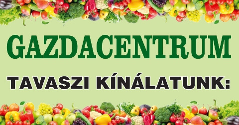 Info-Oké Online