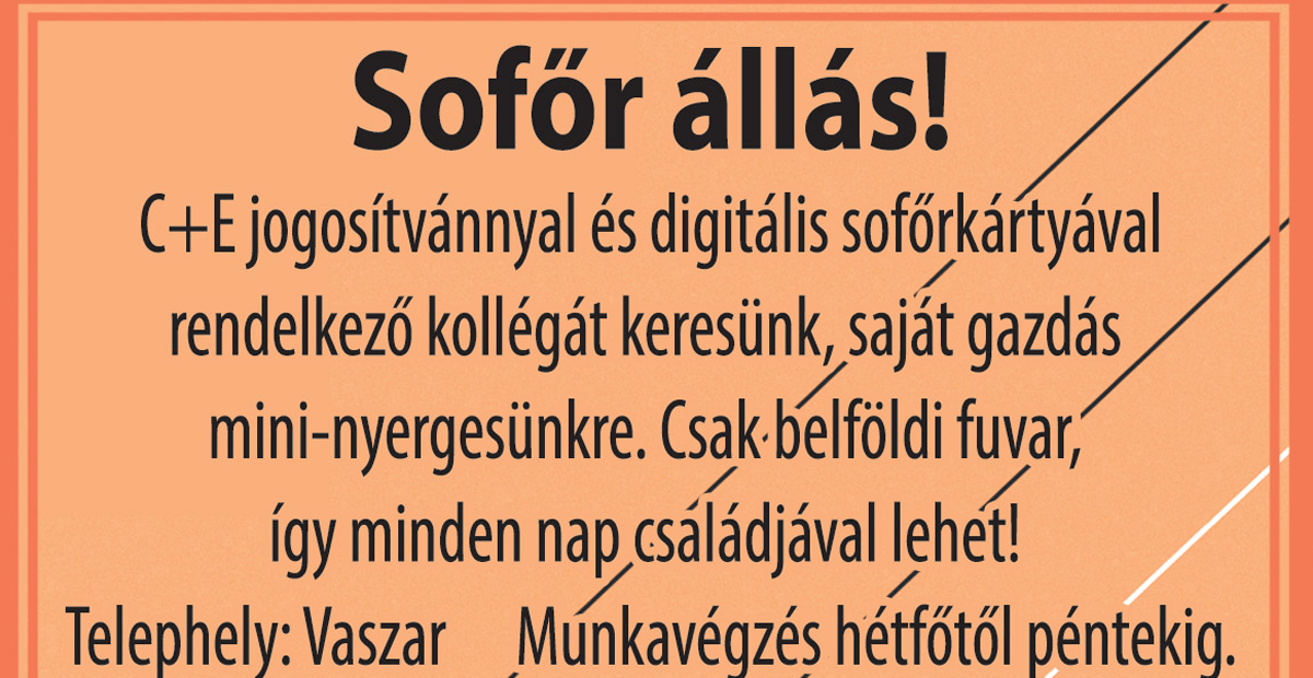  RapidTető Kft. munkatársakat keres!