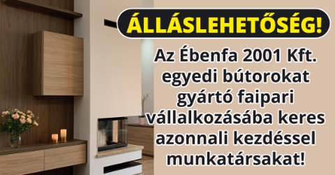 Ébenfa 2001 Kft. faipari vállalkozásába asztalost keres!