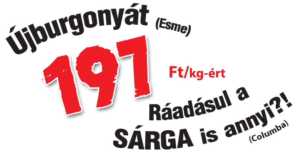 Szereted a hűtött dinnyét?