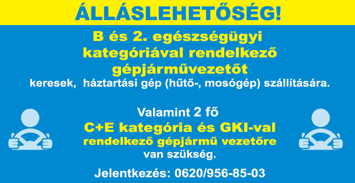 ÁLLÁSLEHETŐSÉG 