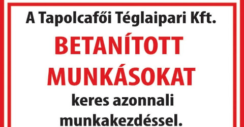 Betanított  munkásokat keresünk